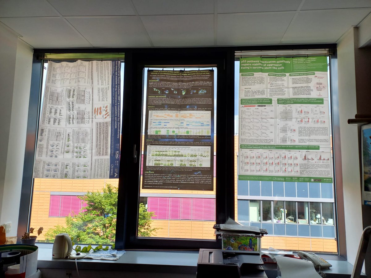 Shutters broken on east-facing windows in two of our offices &amp; won't be repaired till Sept/Oct this year... 🫠☀️ Does applying research posters on windows to somehow cope with the sunlight mean that we can call these results applied science? 😁