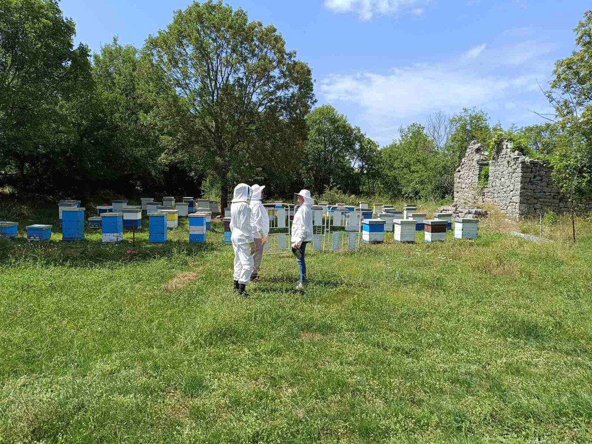 Official_SFTH's tweet photo. The Cheese and Honey Trail of Eastern Herzegovina is gaining its first admirers! Thanks to USAID, the Ministry of Agriculture of the Republic of Srpska, Visit Srpska, Beekeeping Kovačević, and Domestic Products Dzeletović for the support. 

🧀🍯 #Cheeseandhoneytrail #foodstories https://t.co/SL03oCl0eO