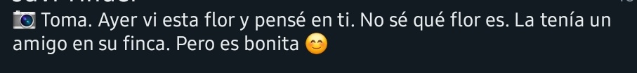 This is real gangsta love ✨️🎶