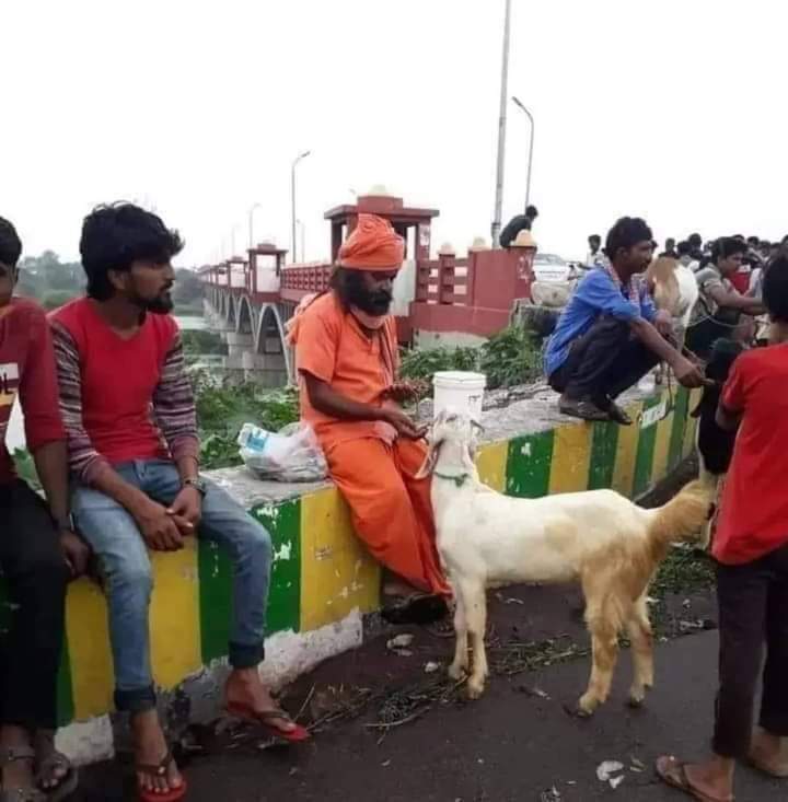 बकरीद आने वाली है जल्दी जल्दी बेच देता हूं, फिर सोशल मीडिया पर बॉयकॉट भी तो करना है।🤐
— एक भाव श्री वाला अंधभक्त