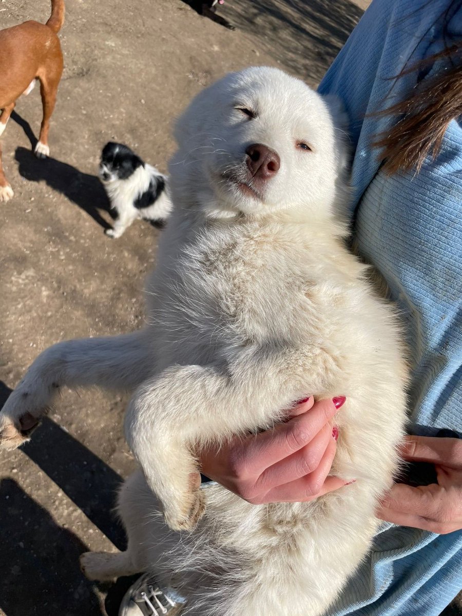 janina 🧃 tweet media