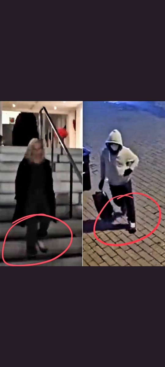 grtamericanovel's tweet photo. @taradublinrocks @FrankFigliuzzi1 @RonFilipkowski @RepMTG ICYMI---as she walks down the WH steps after #CoupPlotter meeting in late Dec 2020, here's a freeze frame of her & the pipe bomber on Jan 5 wearing same or VERY similar shoes. They must shop at the same shoe store. How is she even running for Congress again? Amendmt 14, Sec. 3. https://t.co/075356th2a
