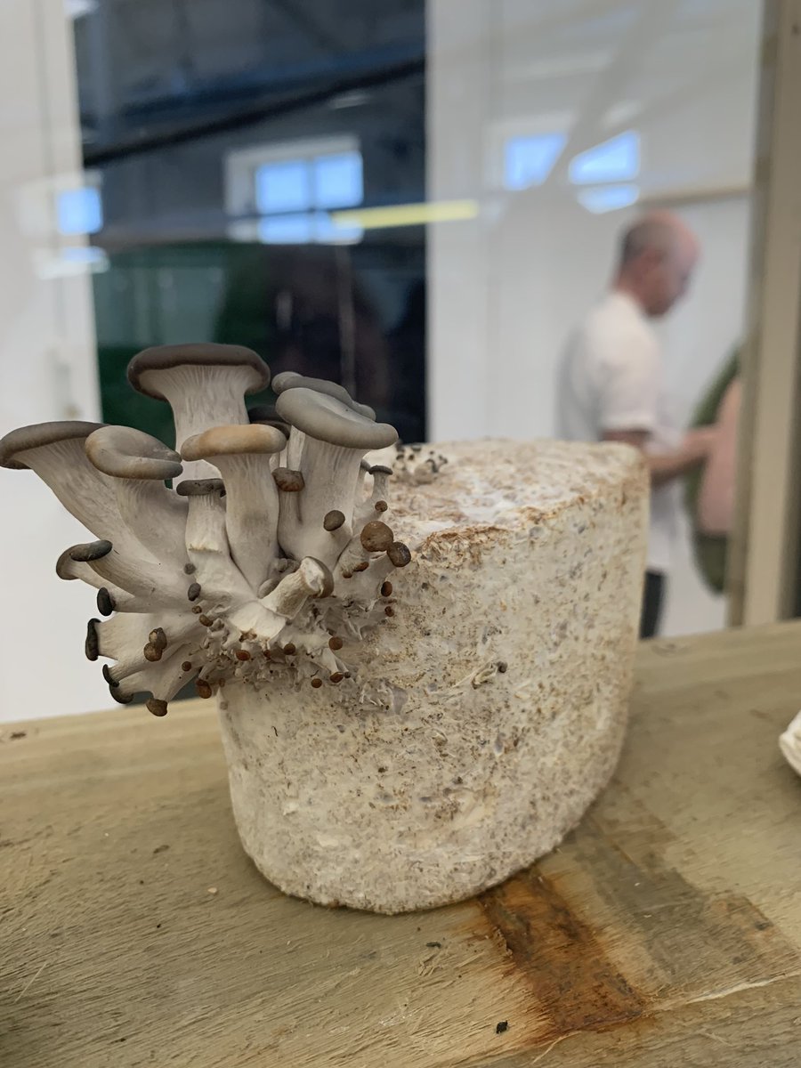 Aisling Leavy (@aisling_leavy) on Twitter photo One of my favourite weekends of the year in Limerick City - the Final Year Show at Limerick School of Art and Design! Amazing talent <a href="/LSADatTUS/">Limerick School of Art and Design, TUS</a> #LoveLimerick One of my favourite weekends of the year in Limerick City - the Final Year Show at Limerick School of Art and Design! Amazing talent <a href="/LSADatTUS/">Limerick School of Art and Design, TUS</a> #LoveLimerick