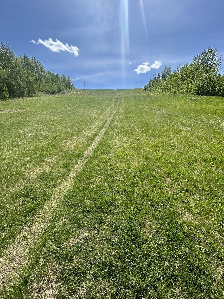 2:00 on weekends means hill training. Just missing <a href="/JustCurlIt/">Steve Adams</a>’s golf ball QB skills
@rszott19