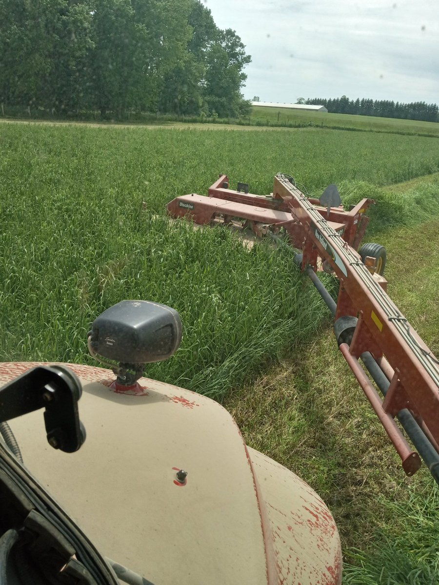 OBaigent's tweet image. Last field of first cut going down today. Lots of haylage in here
