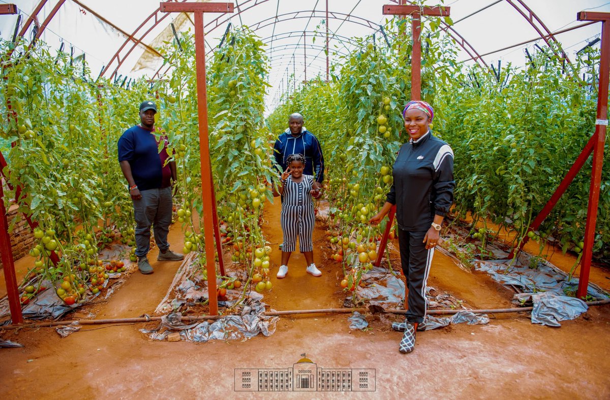 Ce 1er jour du mois de juin est marqué par la joie de l'abondante récolte dans la famille présidentielle, qui, préchant par l'exemple et se joignant à la population #Burundi-aise attelée aux projets agricoles, a procédé à la récolte de tomates sous serre à #Bugendana à @Gitega