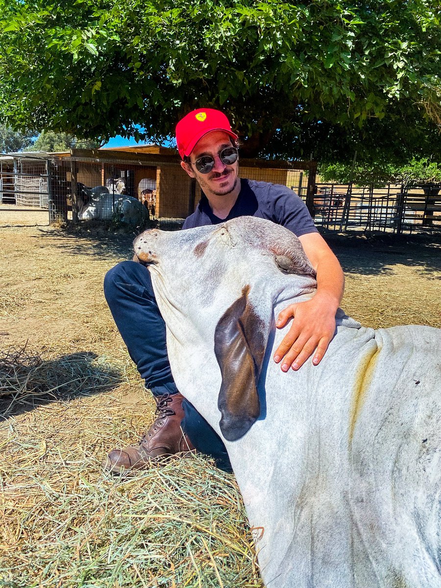 Swizec Teller tweet media