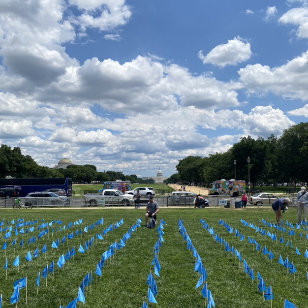iamalsorg's tweet photo. And just like that, the #ALSinDC flag event has come to an end. Volunteers planted 6,000 blue flags, 3,500 of which bore the names of people living with ALS, those who have passed from it, and ALS gene carriers. Thank you for helping us honor them. Until next time… ❤️ https://t.co/RLWjYTuMlm