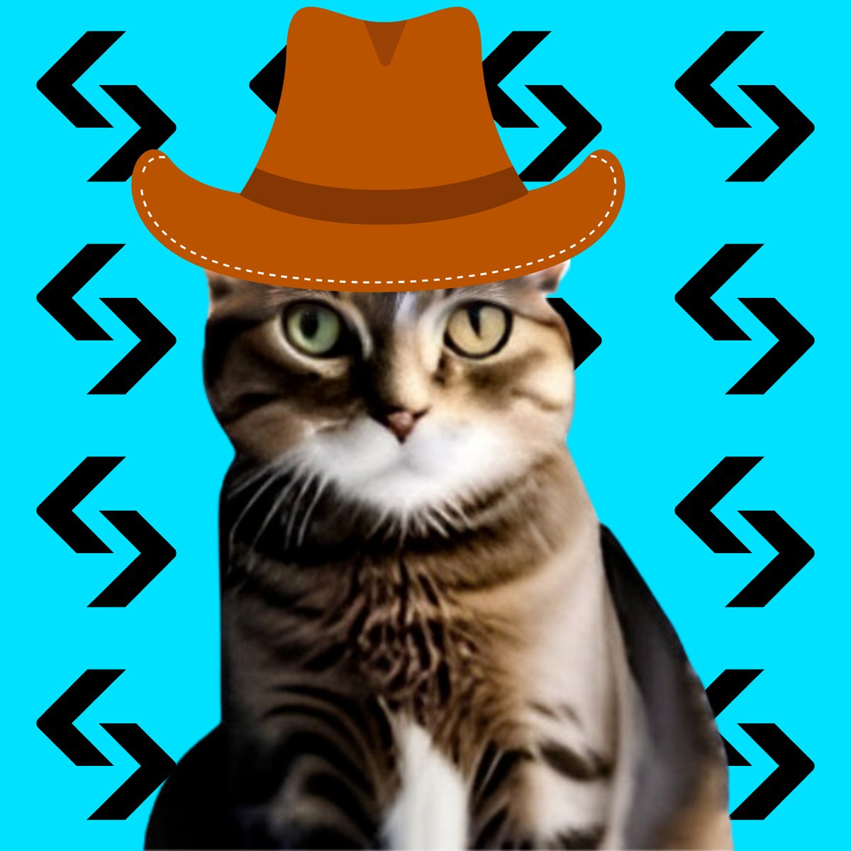 Catwifhat $CWIF tweet media
