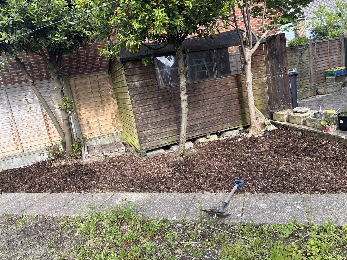 I have a new found respect for gardeners. My back, legs and shoulders are broken but we are slowly making some progress. We have decided to leave some of the garden wild this summer as the bees are loving it! 🐝