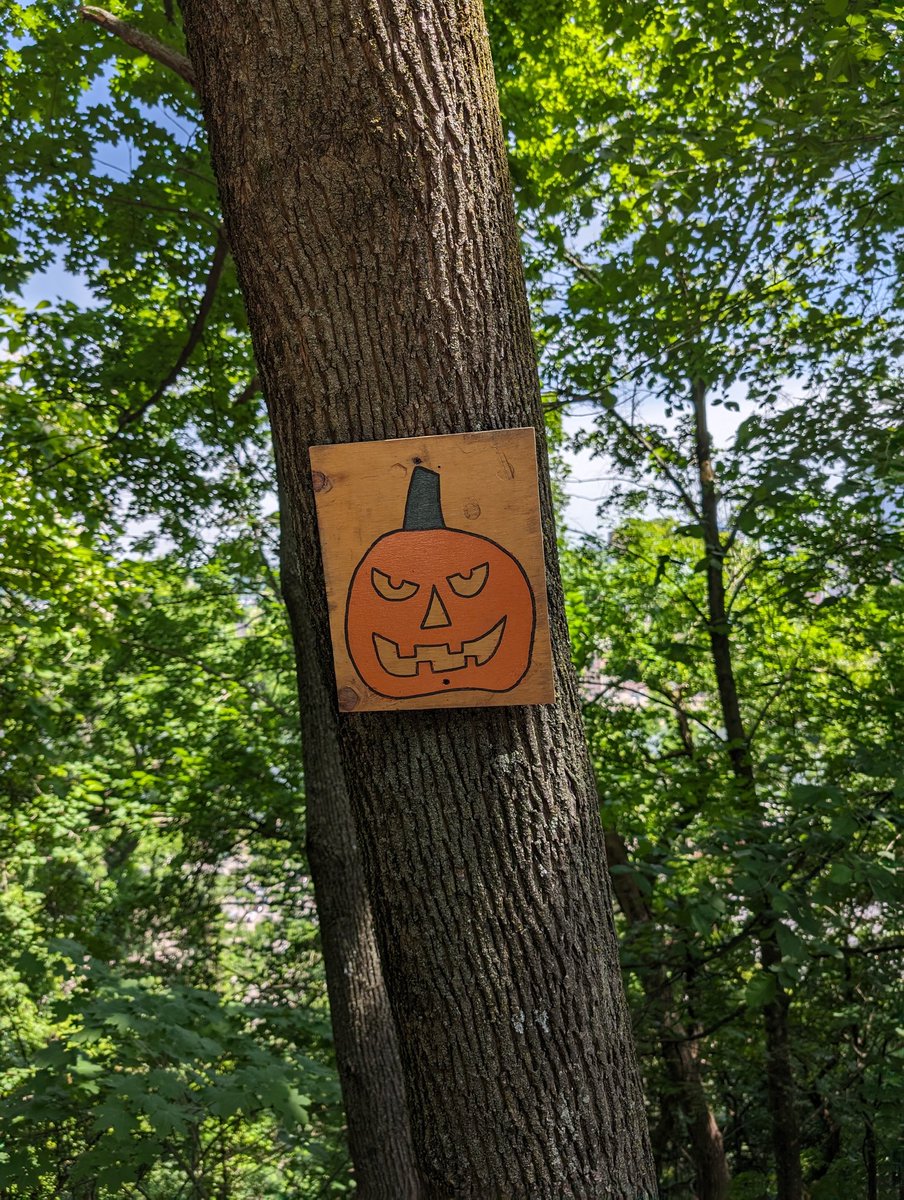 breen ...is only on X bc you are. tweet media