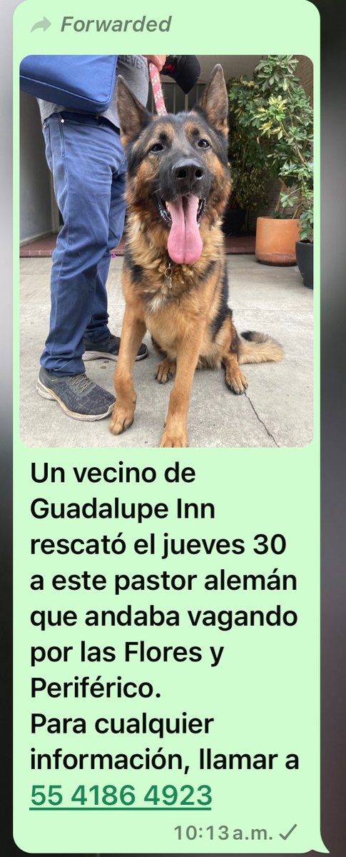 erlorello tweet media