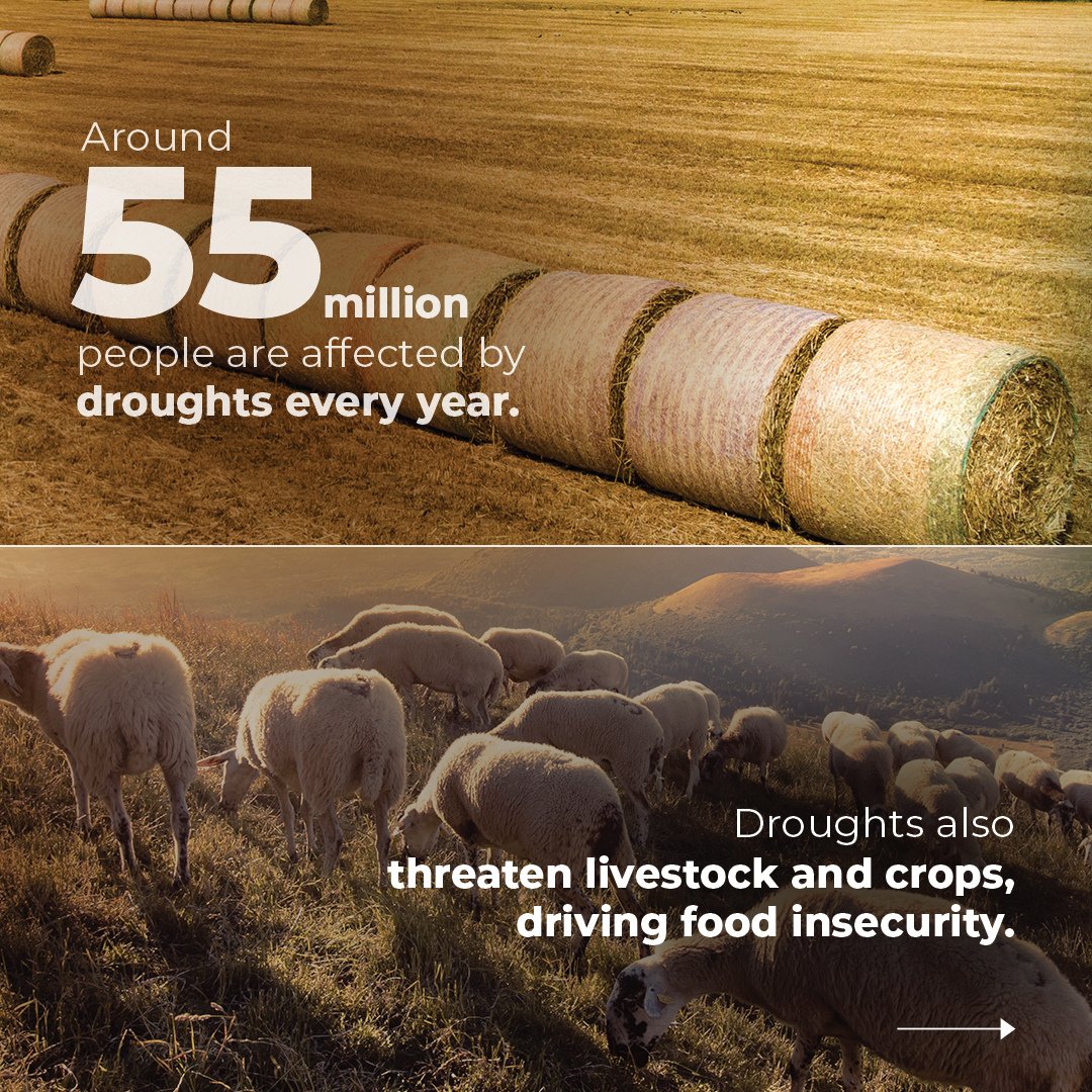 UNEP's tweet photo. How much do you know about droughts?

Ahead of #WorldEnvironmentDay, here is how droughts threaten livelihoods and biodiversity globally, amid the mounting impacts of the climate crisis.

#GenerationRestoration