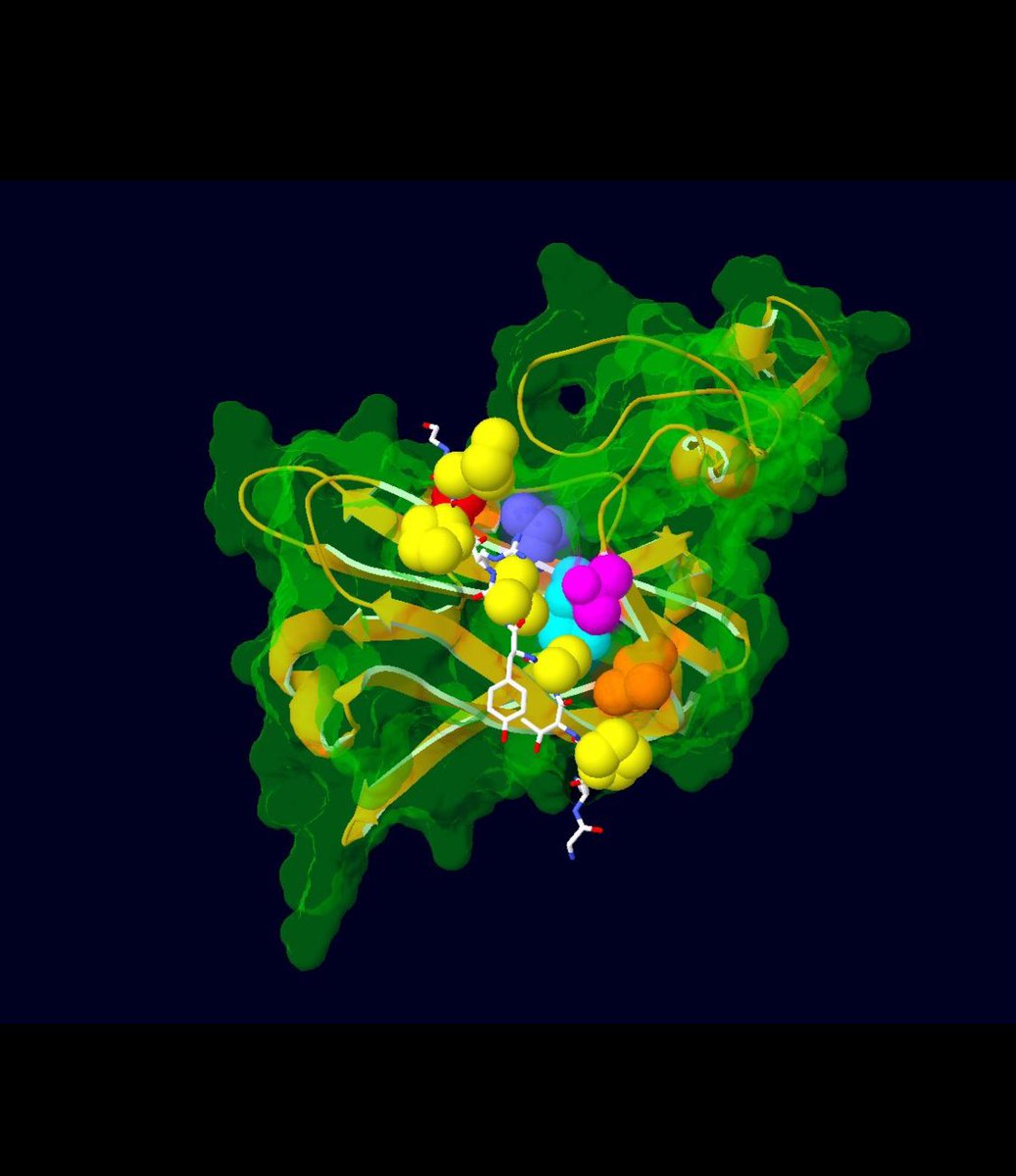 BassaniSissy's tweet photo. 🎯 NEWS 🎉
Excited to share that my last work on KINSSHIP Syndrome is finally out in @GenomeMedicine Journal! 🔬👩🏼‍🔬
Check it out ⬇️ and come to know more about it at the #ESHG posters session! 🧠

https://t.co/uexB4SGCtK https://t.co/8MFuBByzqt