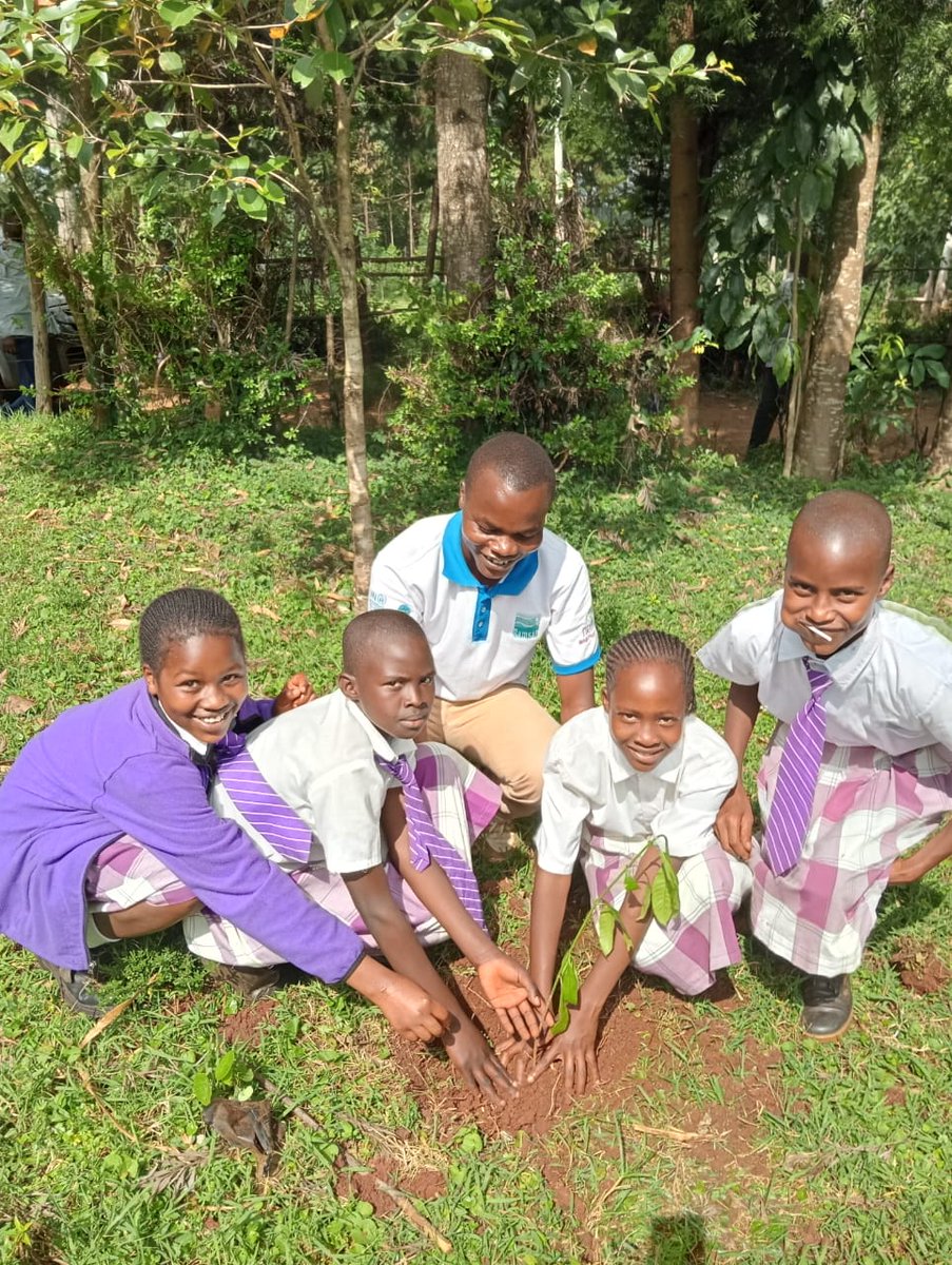 Env_vinny's tweet photo. Trees are essential in environment conservation. The future really matters to the young generation hence the need to make it sustainable. Younger generation are key in driving environmental conservation through tree planting. https://t.co/C30Of2AjWm