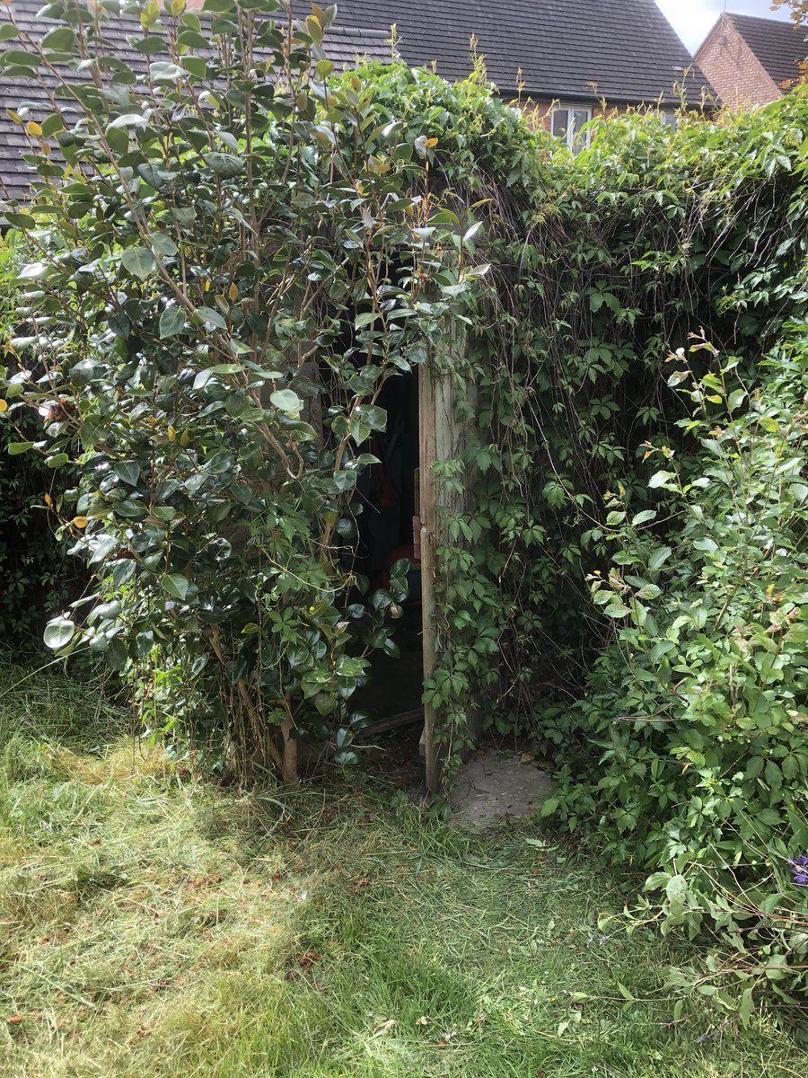 Simon Mason tweet media