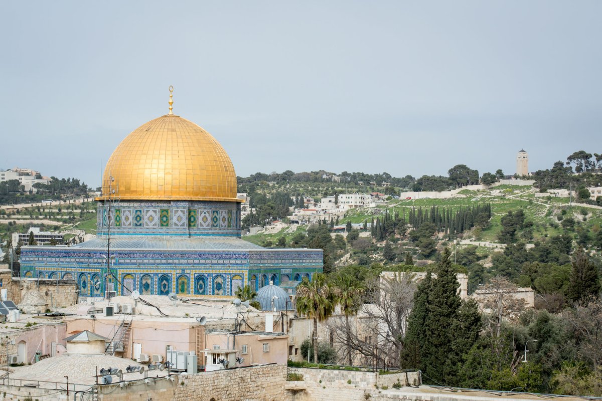 ShayDvd's tweet photo. פרויקט חדש יצא לדרך - טיול מצווה - טיולי בר ובת מצווה מאורגנים בישראל עם מדריך הטיולים ארז לנדאו. בקרו באתר >> https://t.co/vCKCYzXOMN https://t.co/hMwMvlQvZi