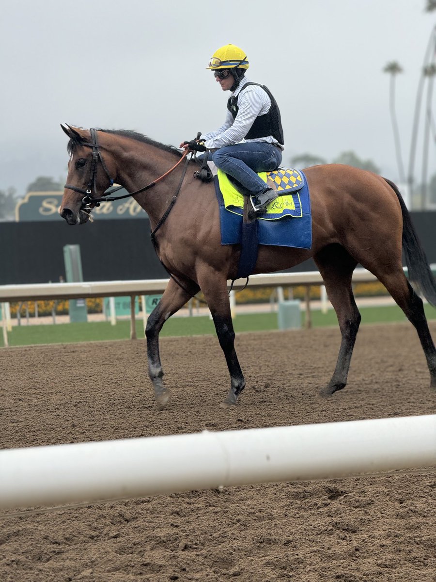 2yo Justify colt PRIVMAN ⁦@BobBaffert⁩ ⁦@jayprivman⁩