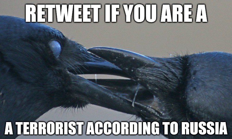 Happy Pride, y'all! OvO/🏳️‍⚧️