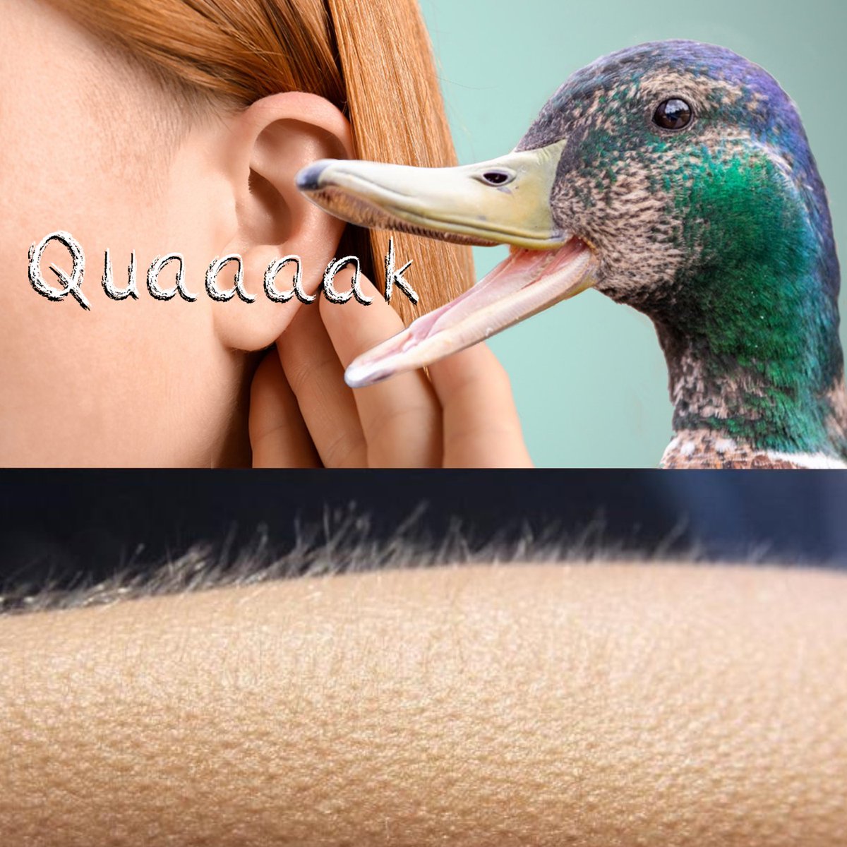 JonnyPillock's tweet photo. @DupeTheDuck_CTO @Ashcryptoreal NGL $DUPE is the way! https://t.co/6fclJyykAN
