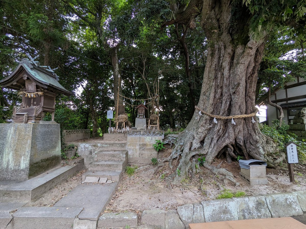 Keizo_Studio's tweet photo. 今日は揖夜神社に行ってきました。
遷宮の工事が始まったみたいです。
自分のビジネスを成功させて、多くの神社を応援したい。 https://t.co/hbaKQBPnOv