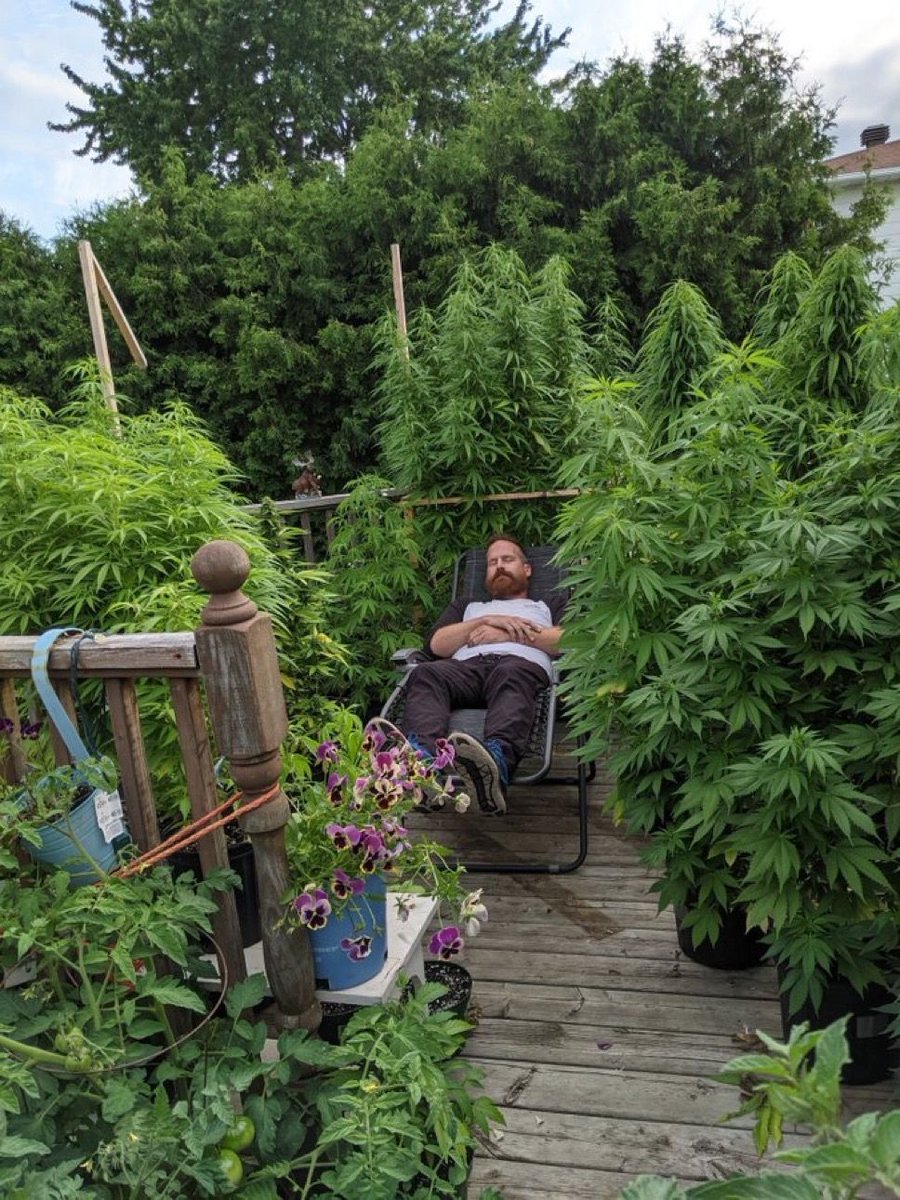 This is what I mean when I say I want a garden