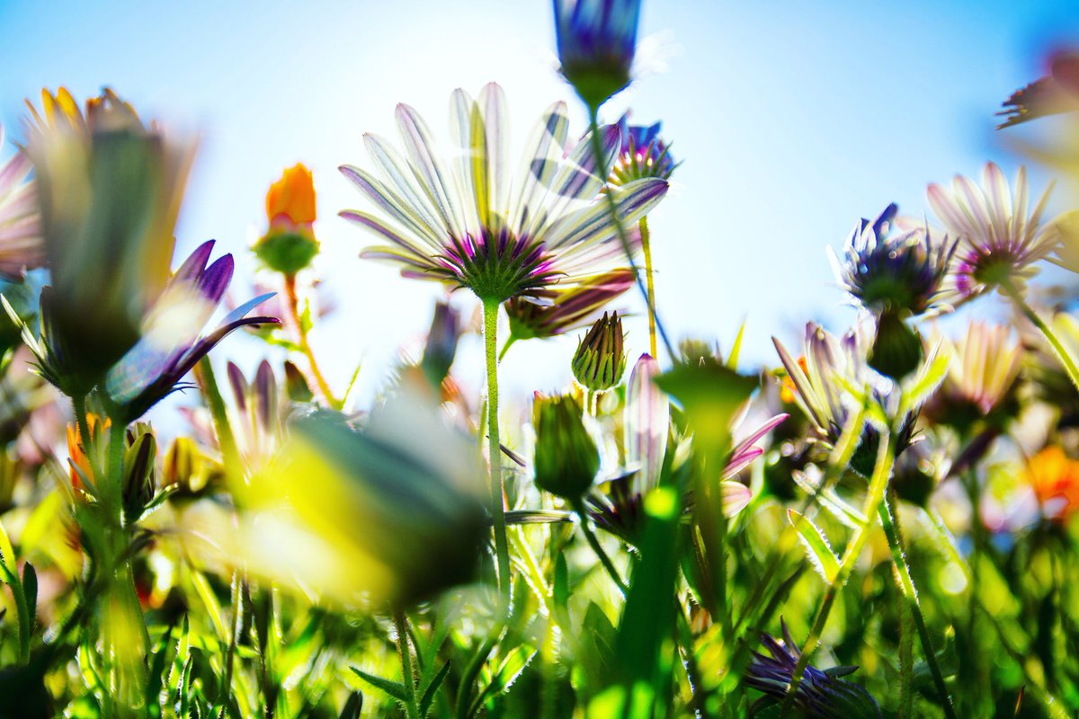 ZARAMIAAVA's tweet photo. Are you ready for 30 Days Wild? #TheWildlifeTrust’s challenge to try one act of ‘random act of wildness’ every day, starts today!
Sign up & you’ll receive a digital pack full of fantastic ideas to wild your June.
https://t.co/nRQNkBfSZS
#30DaysWild #WildJune #StayWild #nature https://t.co/zvHofkJqKG