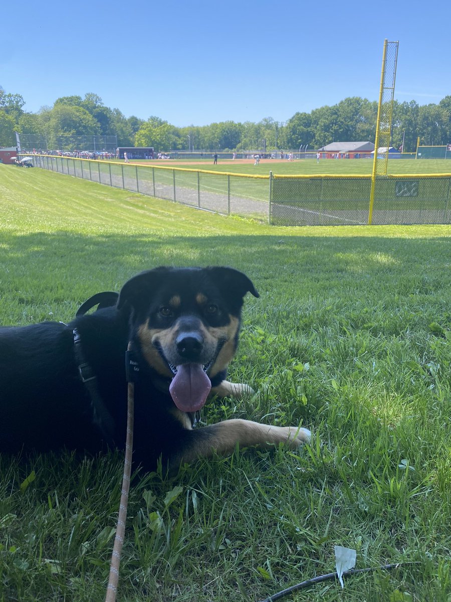 Ms. Doolan tweet media