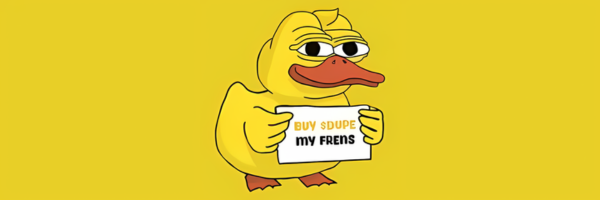 JonnyPillock's tweet photo. @DupeTheDuck_CTO @rovercrc This community is just awesome! $DUPE will be next #PEPE https://t.co/cLqsB3ed7N