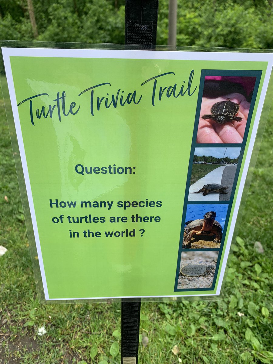 GinnyKlevorn's tweet photo. It’s Turtle Day @threeriverspark French Park. Lots of 🧑‍🧑‍🧒friendly activities. 🆓 entry! Thank you @leonlillie for your #mnleg support of our Parks! Open 11-3 today https://t.co/nN4BXMtFtI
