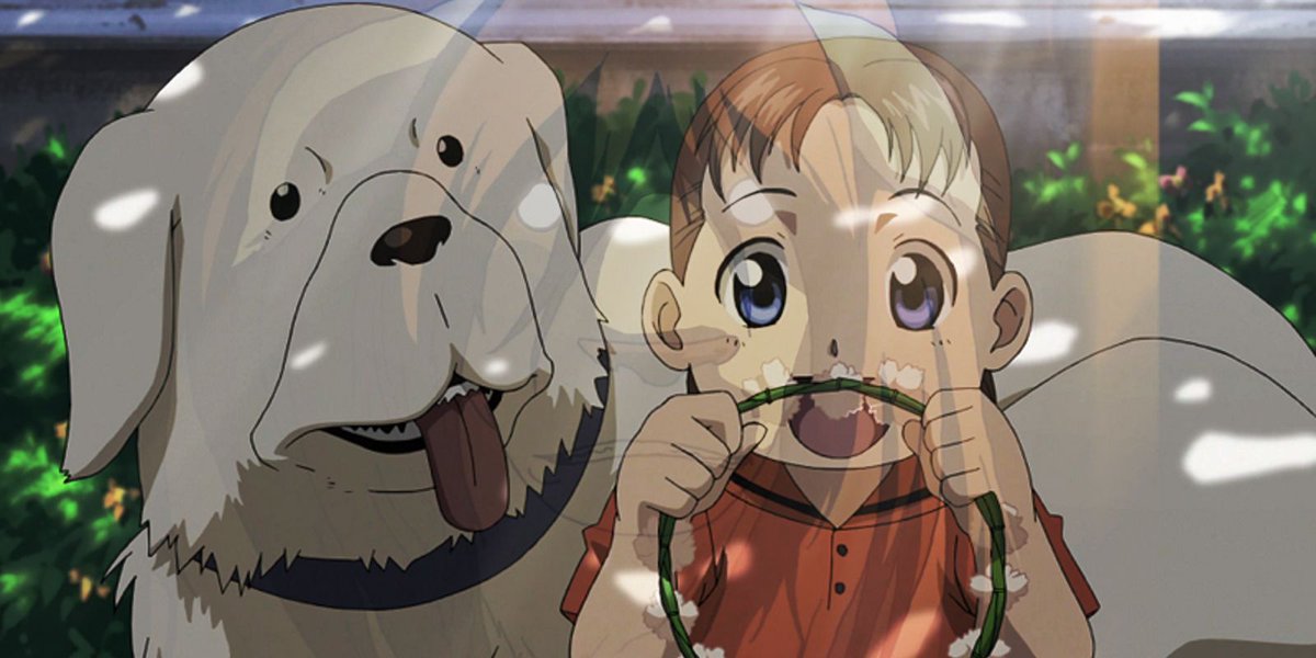 KawaknightTV's tweet photo. Last night I got @maribunny15 to start watching Full Metal Alchemist: Brotherhood

Here's her authentic 1st reaction to finding out Alexander and Nina got transmuted. 

This is a scene every anime connoisseur has endured https://t.co/Chd4IufYDt