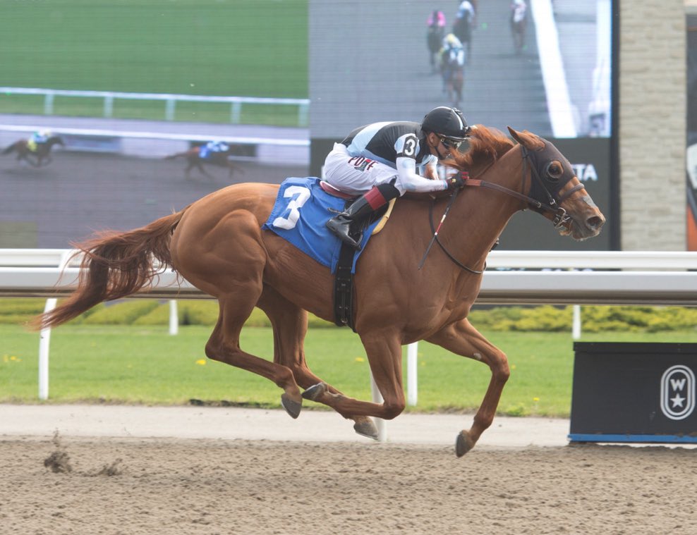A trio of #EclipseFillies compete @WoodbineTB, all trained by dual HOFer @markecasse: Roikop debuts w HOF jockey Patrick Husbands in a MSW at 2:08ET; GSW Solo Album tunes up in the G3, $135k Belle Mahone w @SahinCivaci up at 4:09ET; & at 5:42ET Worship MSW w Husbands #BelieveBig