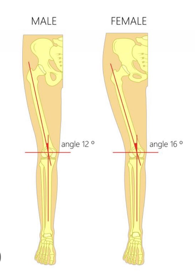 Stay safe out there this month! Here is a handy guide to help navigate dating in today’s world.