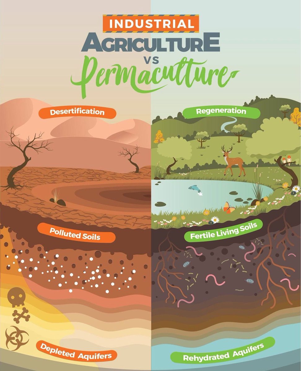 The Last Farm tweet media
