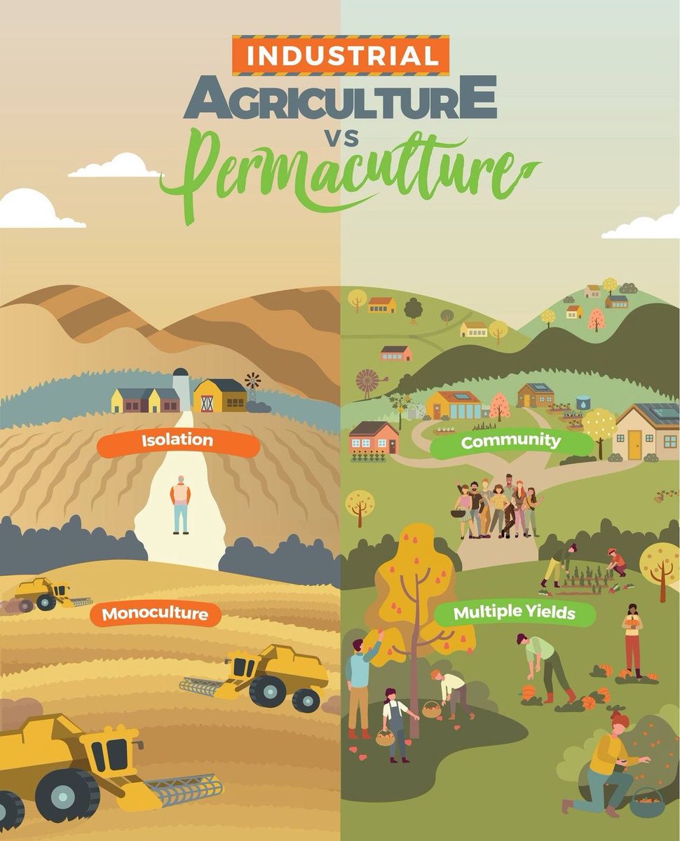 The Last Farm tweet media