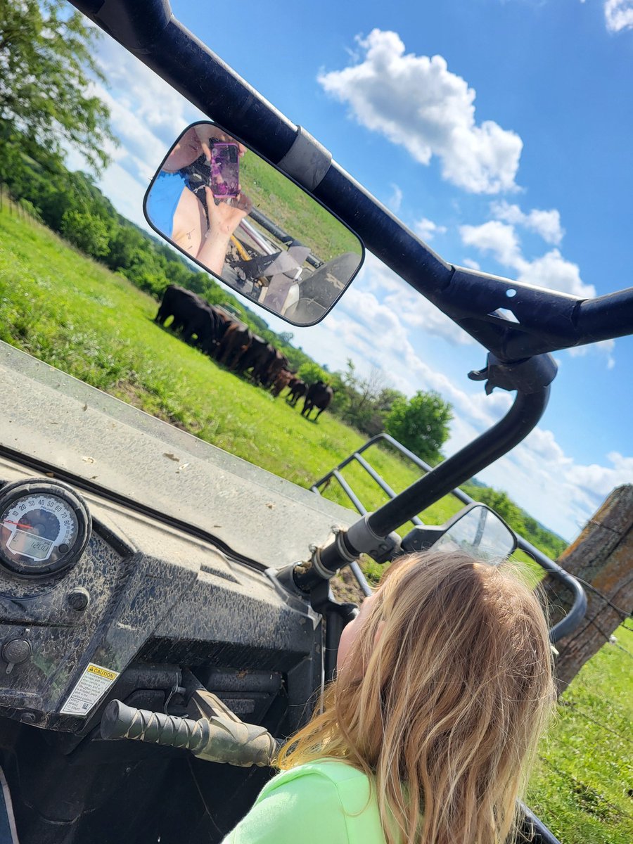 JessRolves's tweet photo. Busy morning with @farmerbobnwmo bottle feeding Princess, then sorting and moo-ving some cows around. #cowgirls #farmkids https://t.co/tDRr8GtvbL