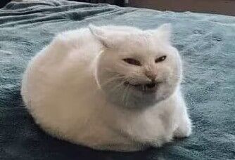 KELLANDDD's tweet photo. @pptsysy https://t.co/d9oXPgUyVy