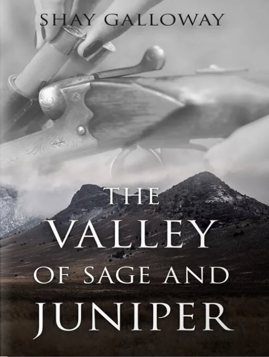 ChristinaHyun's tweet photo. Happy, happy bday to co-host of our #MomsWritersClub - Shay Galloway! You can find her @thegallowcat and https://t.co/HMtVfaWM4o. She’s repped by @ceciliaclyra. 

You can buy her book, “The Valley of Sage and Juniper” here: https://t.co/JwysbYJDv8

#writingcommunity #amreading https://t.co/UIK5v979Ys