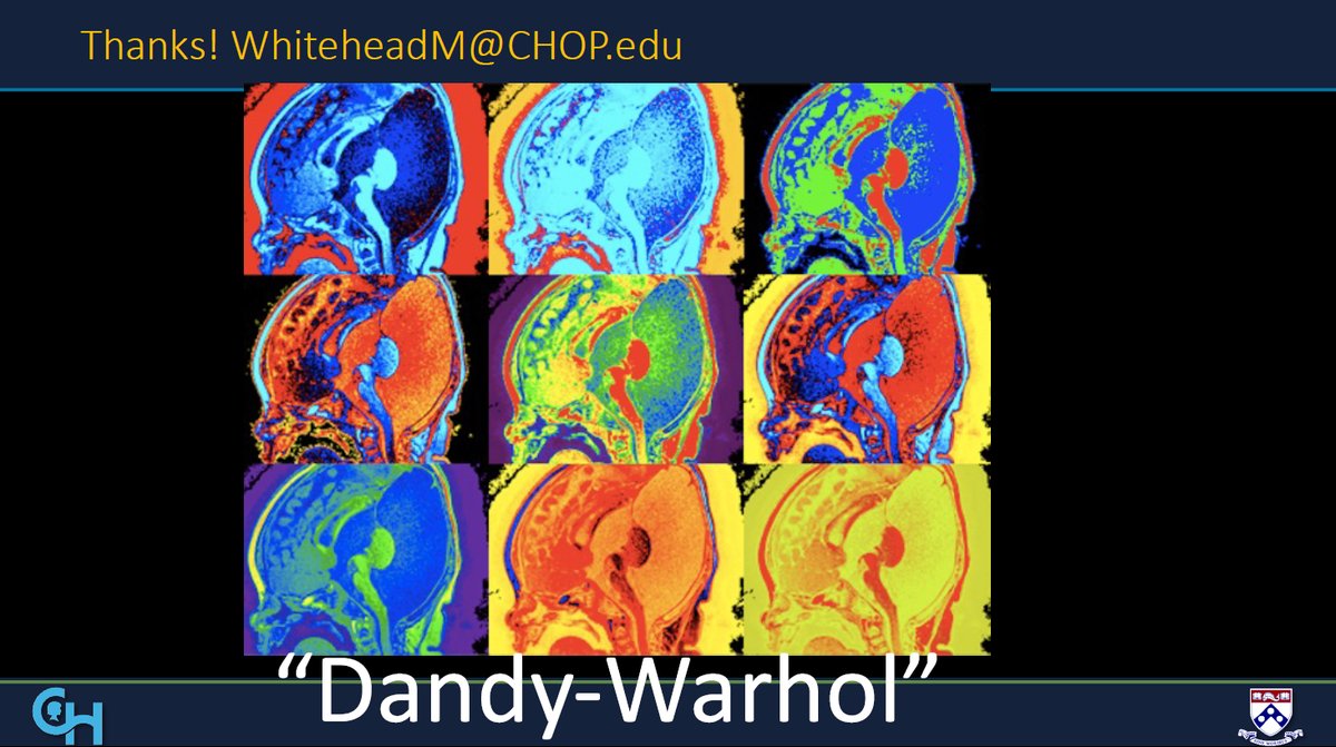 Truly grateful to Dr. Matthew Whitehead for sharing his masterful knowledge of all things cerebellum! We speak your name!