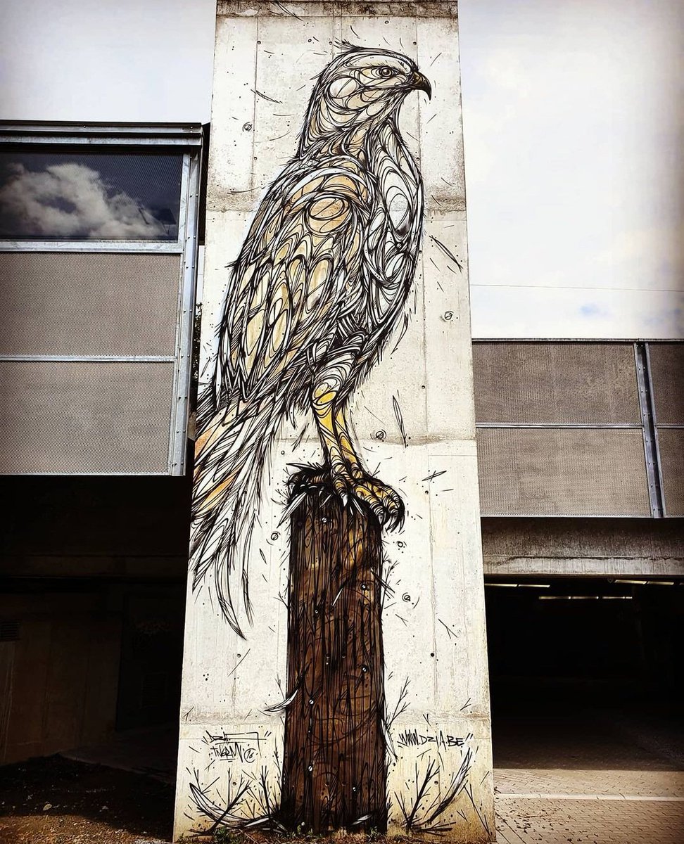 'A birds eye view' by Belgian Dzia in Hoeilaart, Belgium (2021) #dzia #streetart #lamolinastreetart | photo by @anniemyten via mysl .nl/vZUui