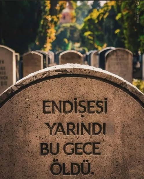 SrknSimsek's tweet photo. https://t.co/vqZ7zoCSNm