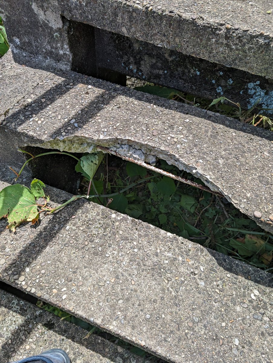 breen ...is only on X bc you are. tweet media