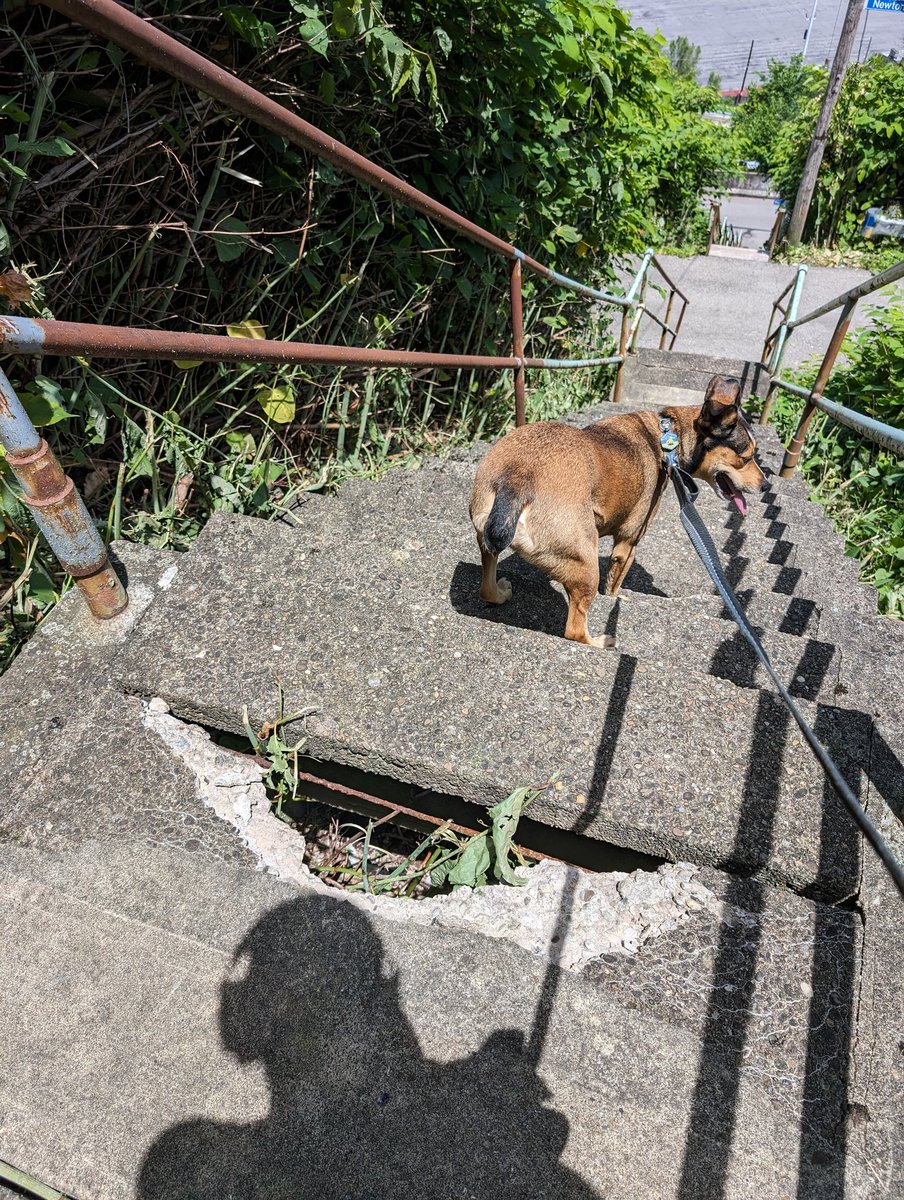 breen ...is only on X bc you are. tweet media