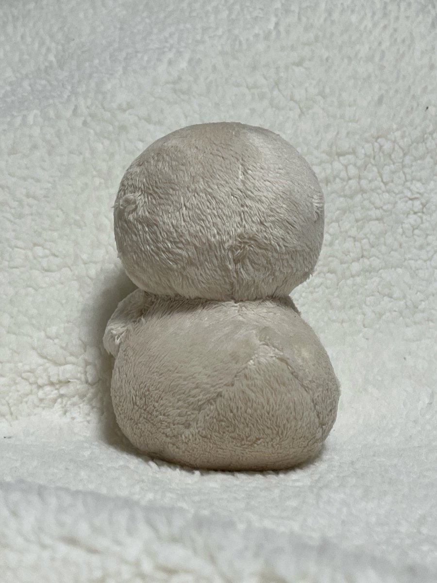 쩡덕이… (@jjungducky) on Twitter photo 