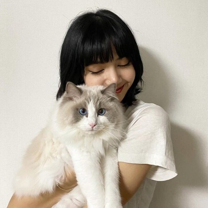 random lisa pics tweet media