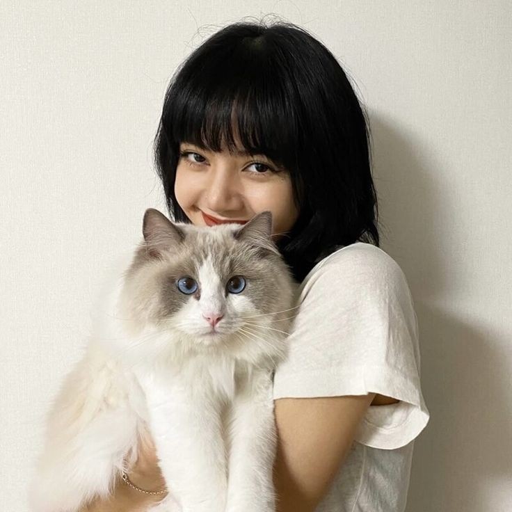 random lisa pics tweet media