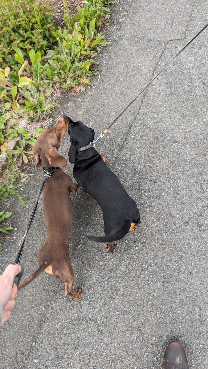 Charlotte Moreau tweet media