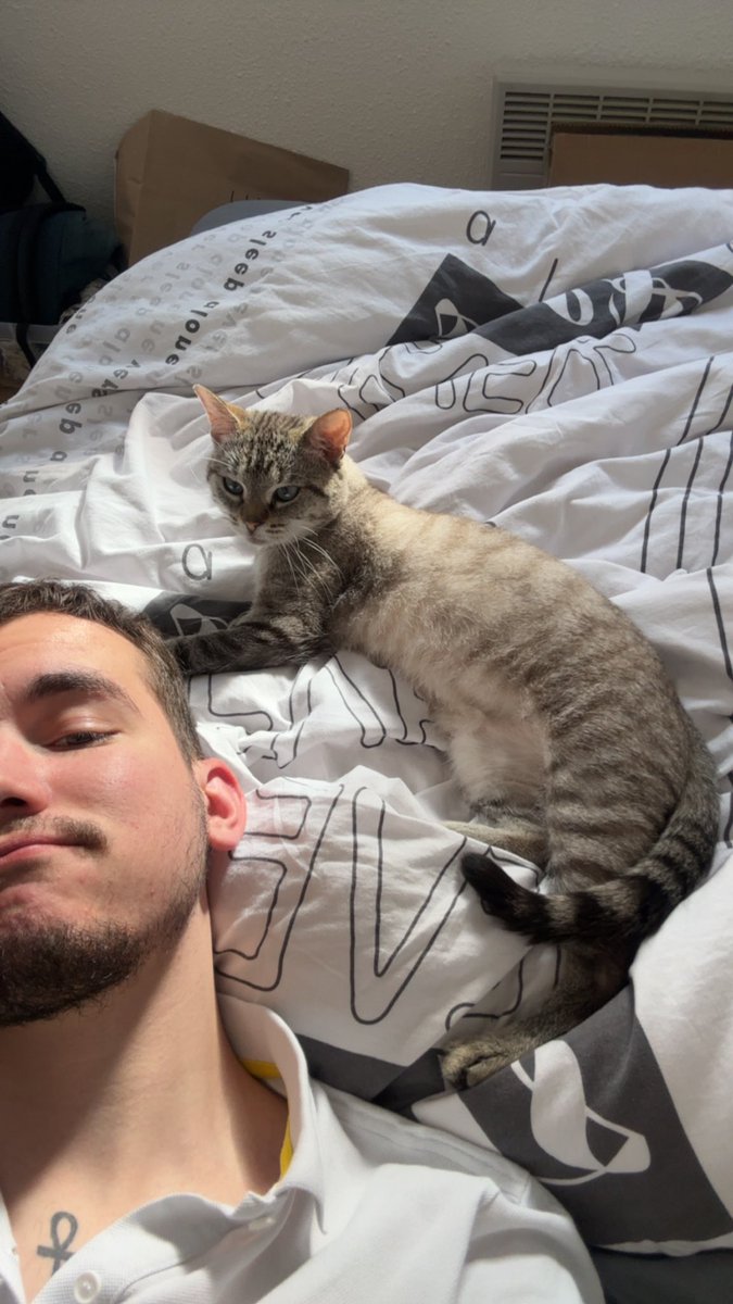 QuentinAltr's tweet photo. ❤️🐱 https://t.co/DfgeUOkPmg