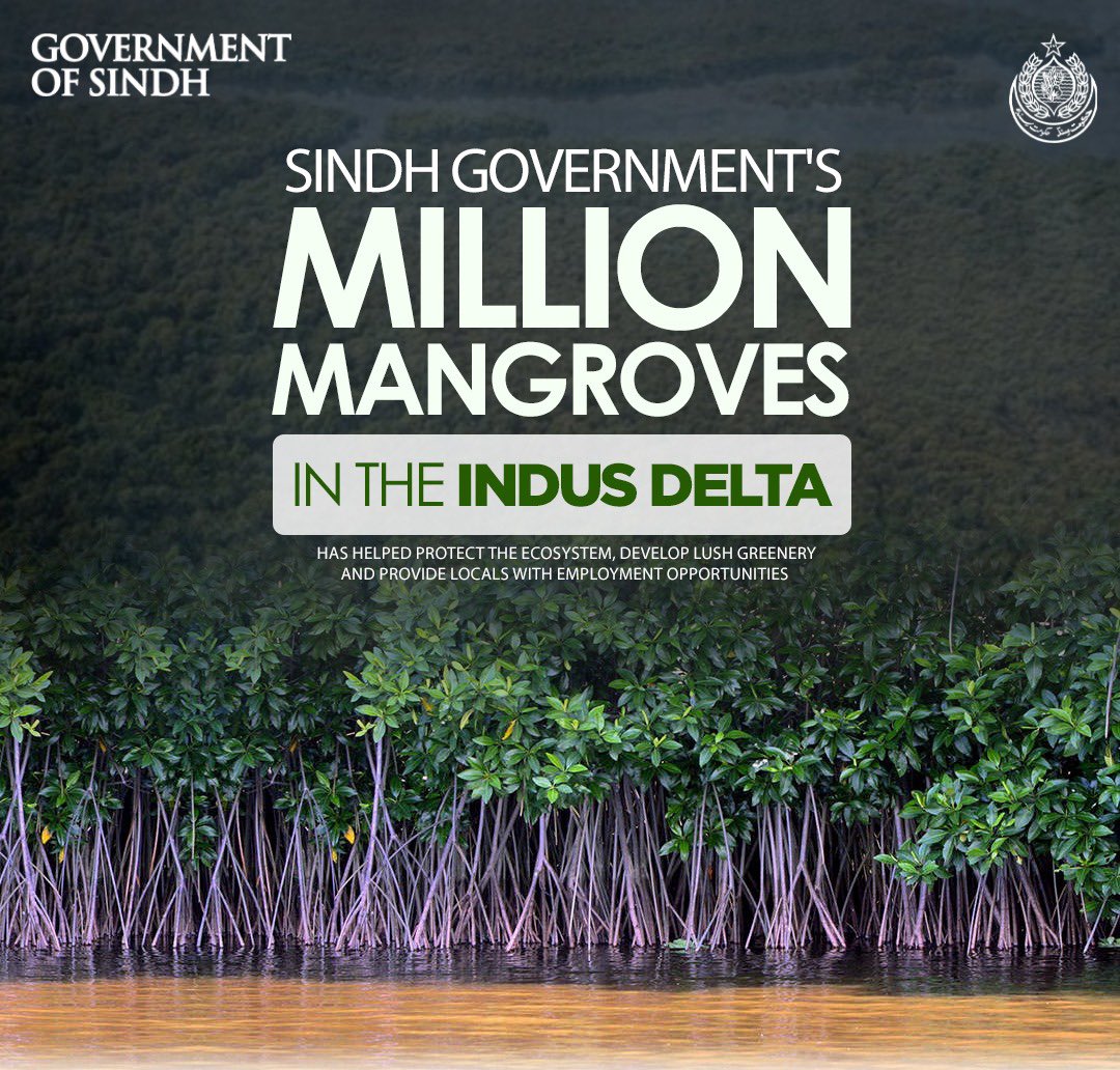 Sindh Government's ambitious mangrove plantation drive in the Indus Delta has yielded remarkable results,successfully restoring the fragile #ecosystem,creating vibrant green habitats,and empowering local communities with sustainable employment opportunities
#SindhGovt #Plantation