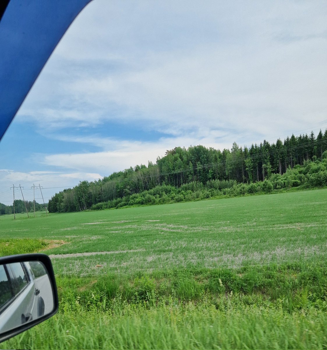 Kati_Lassi's tweet photo. Helsinki-Karjaa-Fiskars välillä näkyi aika paljon epätasaisesti orastuneita peltoja ja kaikki kasvit huutaa vettä! Sateet ovat olleet paikallisia, kertoo NSL kasvutilannekatsaus ja lisää sateita kaivataan #kasvukausi https://t.co/Bw3XrK0it0 https://t.co/JUh2lYJYYG